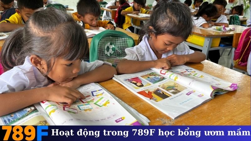 Các hoạt động cụ thể trong 789F học bổng ươm mầm