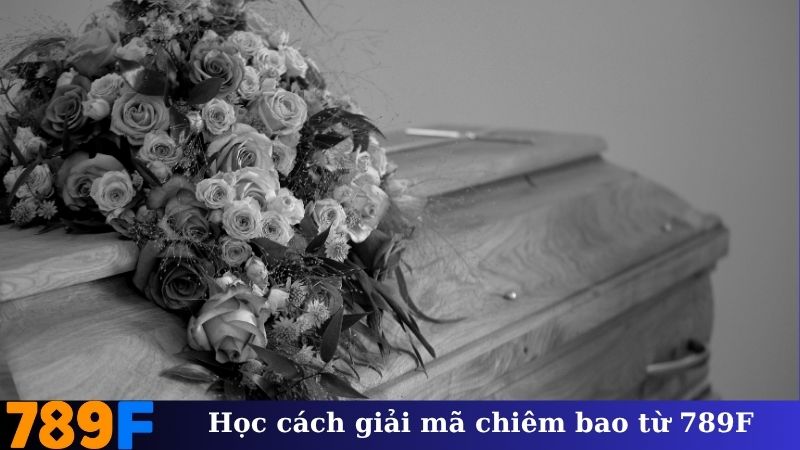 Học cách giải mã chiêm bao từ 789F