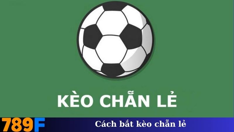 Cách Bắt Kèo Chẵn Lẻ