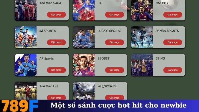 Một số sảnh cược hot hit cho newbie