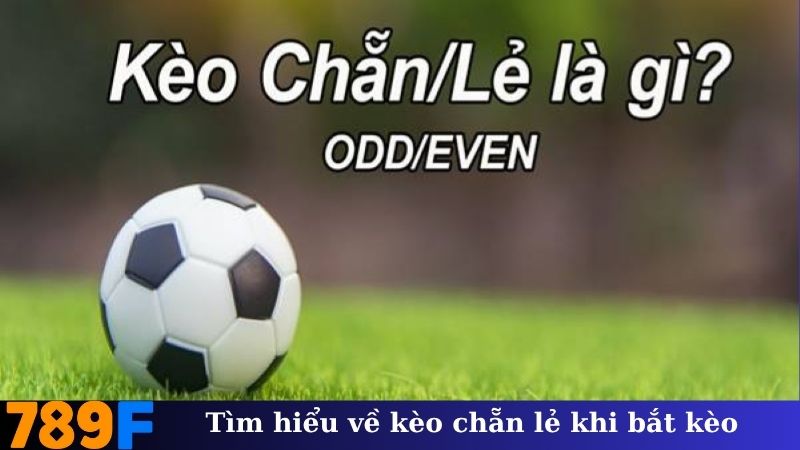 Tìm hiểu về kèo chẵn lẻ khi bắt kèo